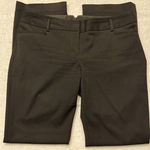 Express dress pant
